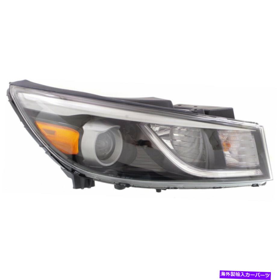 USヘッドライト Kia Sedona Headlight 2015 2016 Passenger Side Dot KI2503181 For Kia Sedona Headlight 2015 2016 Passenger Side DOT KI2503181【並行輸入品】