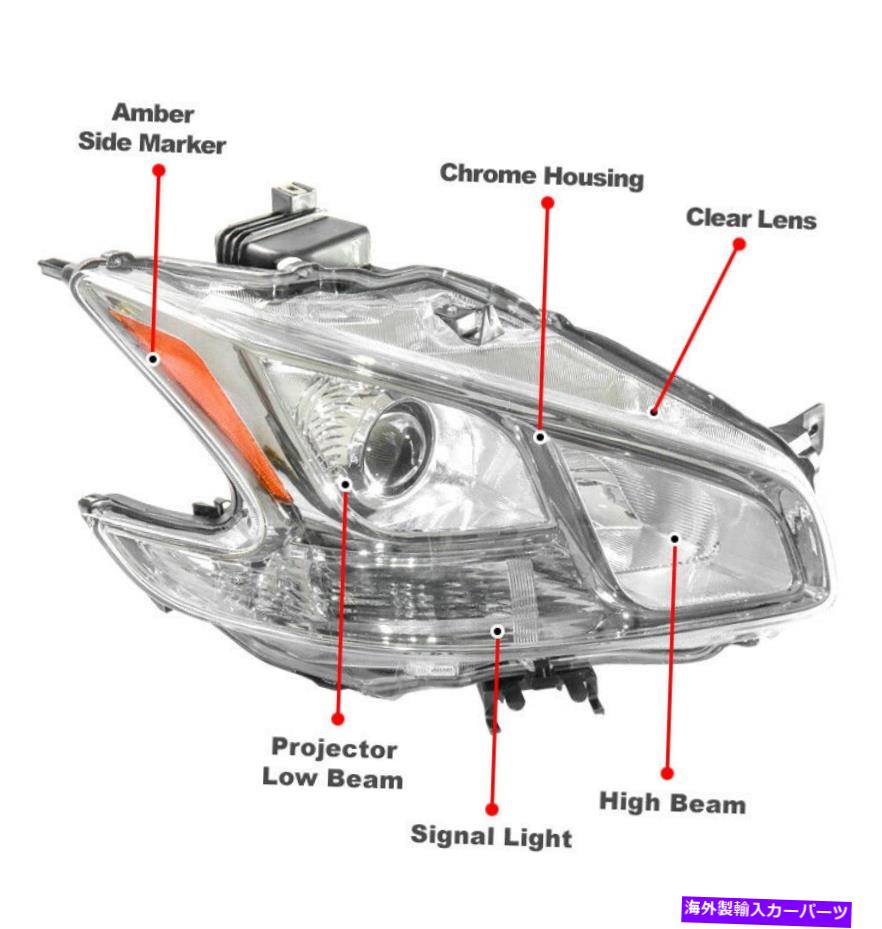 USヘッドライト 09~14のMaxima Chrome交換プロジェクターヘッドライトランプ+青色LED DRL信号 For 09-14 Maxima Chrome Replacement Projector Headlight Lamp+Blue LED DRL Signal【並行輸入品】