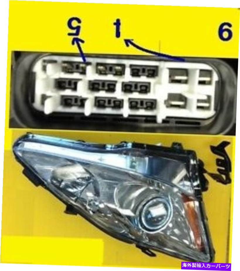 USヘッドライト Lexusの右ハロゲンヘッドライトは2006-2008高いです8113053270 LX2503132 Right HALOGEN HEAD LIGHT for LEXUS IS 2006-2008 | 8113053270 LX2503132【並行輸入品】