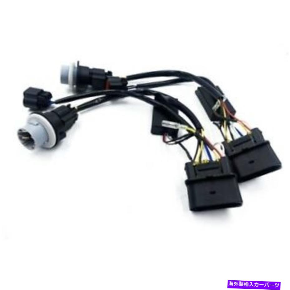 USヘッドライト アルファREX USA 810003 2013-2018 RAMトラックのための在庫プロジェクターのヘッドライト Alpha Rex USA 810003 Stock Projector Headlights For 2013-2018 Ram Truck【並行輸入品】