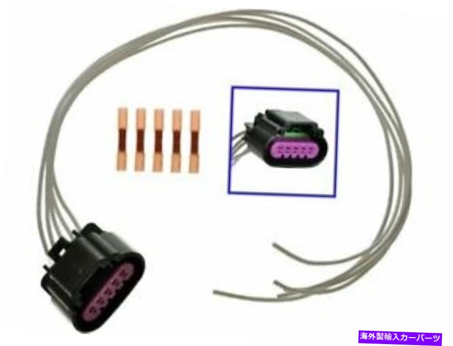 USテールライト テールライトコネクタ6ZNF23用Isuzu Ascender 2003 2004 2004 2006 2008 2008 2008 Tail Light Connector 6ZNF23 for Isuzu Ascender 2003 2004 2005 2006 2007 2008【並行輸入品】