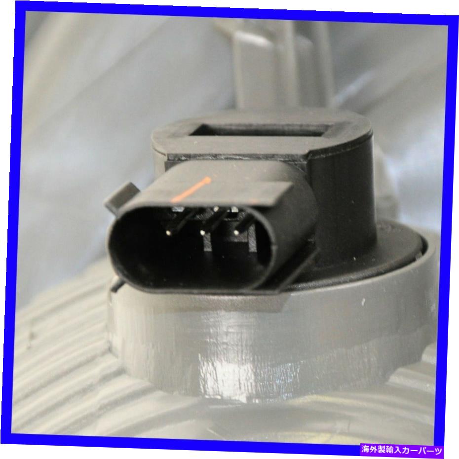 USテールライト テールライトセットDIYソリューションLHT07842 Tail Light Set DIY SOLUTIONS LHT07842【並行輸入品】