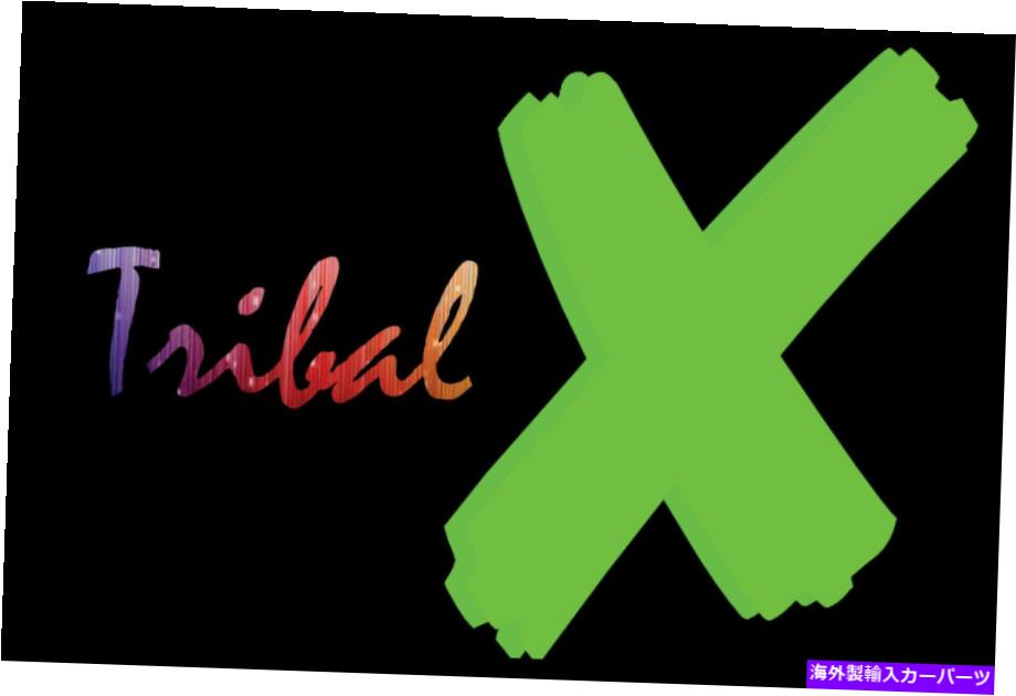 USテールライト 4フィート。部族X LEDホイップ（ペア） 4 ft. Tribal X LED Whips (Pair)【並行輸入品】