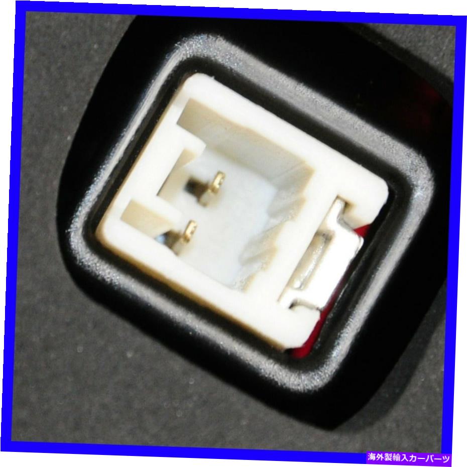 USテールライト テールライトセットDIYソリューションLHT07882 Tail Light Set DIY SOLUTIONS LHT07882【並行輸入品】