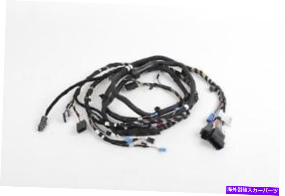 USテールライト 改装用BMW OEMハーネスキットLCI Taillights-F33 F83 M4 Convert BMW OEM Harness Kit For Retrofitting Facelift LCI Taillights-F33 F83 M4 Convert【並行輸入品】