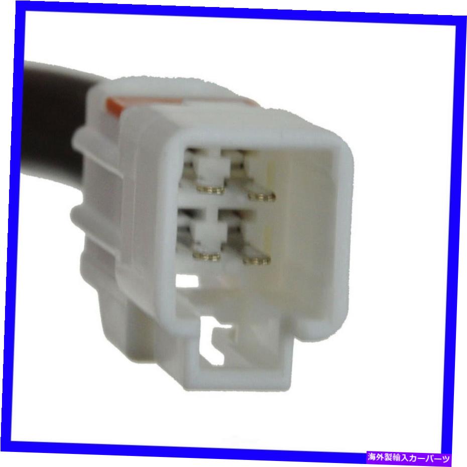 USテールライト テールライトセットDIYソリューションLHT07790 Tail Light Set DIY SOLUTIONS LHT07790【並行輸入品】