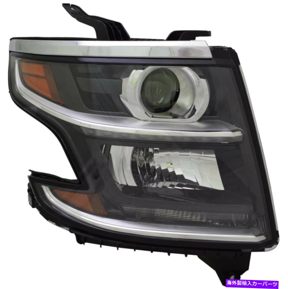 USヘッドライト L066ヘッドライト - Remplazoオリジナルデファーリドデルドデルパサエジェロ L066 Headlight - Remplazo original de faro delantero del lado del pasajero【並行輸入品】