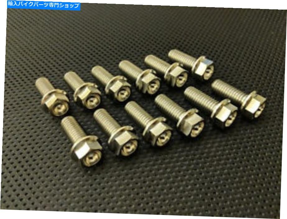 front brake rotor Aprilia Tuono 1100 V4チタンフロントディスクボルト15 Tiローターマウントボルト Aprilia Tuono 1100 V4 Titanium Front Disc Bolts 15 on Ti Rotor Mount Bolts【並行輸入品】