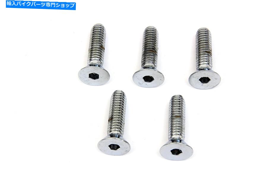 front brake rotor フロントディスクブレーキネジはハーレー - ダビッドソンに収まります Front Disc Brake Screws fits Harley-Davidson【並行輸入品】|Us Custom Parts Shop USDM