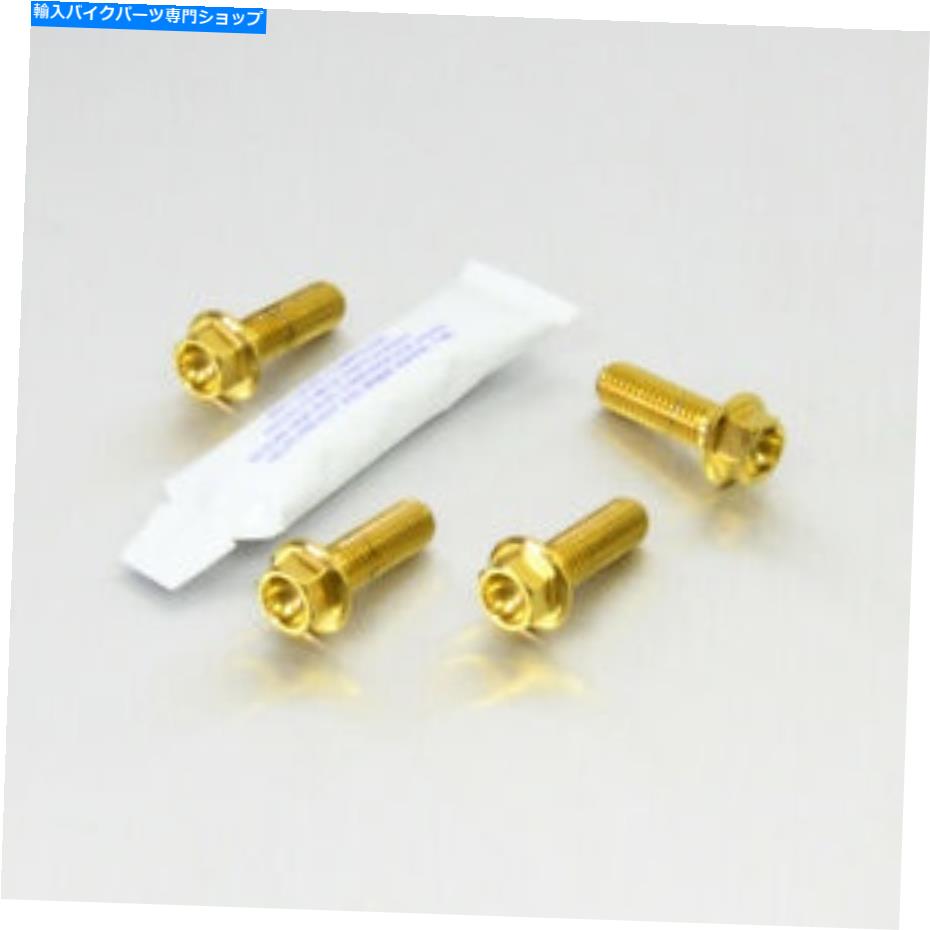 Brake Caliper Suzuki an650 Burgman 2006-2015のためのProbolt Front Brake Caliper Bolts Gold Probolt Front Brake Caliper Bolts Gold for Suzuki AN650 Burgman 2006-2015【並行輸入品】