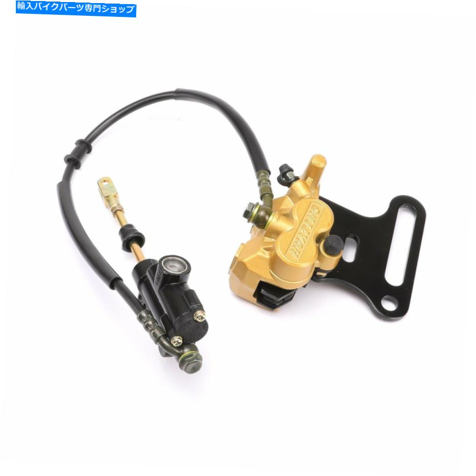 Brake CaliperBrake CaliperBrake CaliperBrake CaliperBrake CaliperBrake CaliperBrake CaliperBrake CaliperBrake CaliperBrake Caliper 12mmリアディスクブレーキ油圧キャリパーシリンダーピットバイクSSR SDG 125 150cc用 12mm Rear Disc Brake Hydraulic【並行輸入品】