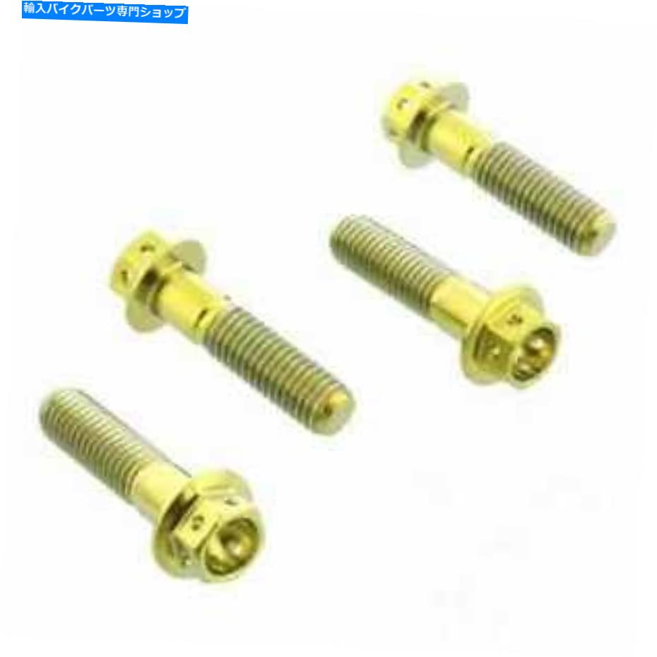 Brake Caliper ブレーキキャリパーボルトセットプロバルトチタンラースゴールドティフモン250rg for honda xl 1000 Brake Caliper Bolt Set Probolt Titanium Rac Gold TIFBMON250RG For Honda XL 1000【並行輸入品】