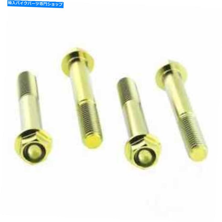 Brake Caliper ブレーキキャリパーボルトセットProboltチタンゴールドTifbmon510g for bmw s 1000 r abs Brake Caliper Bolt Set Probolt Titanium Gold TIFBMON510G For BMW S 1000 R ABS【並行輸入品】