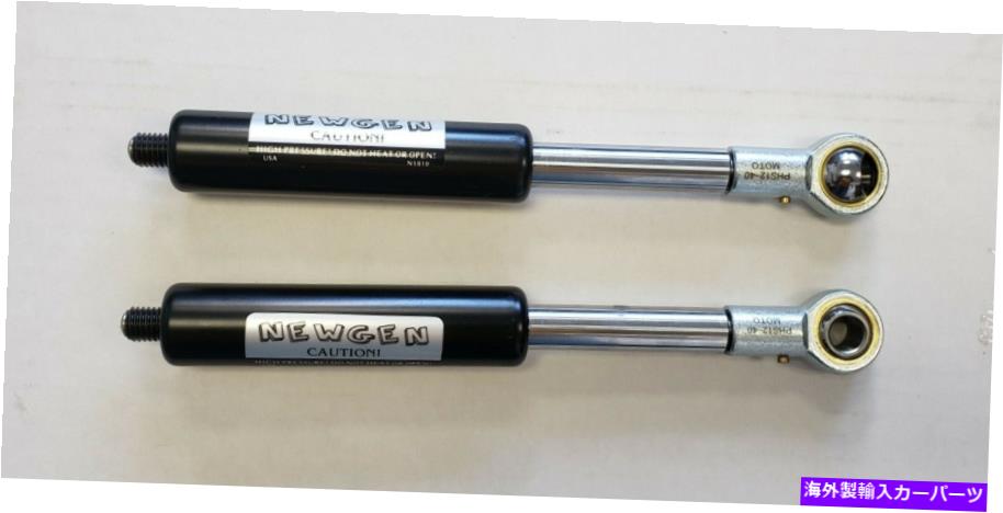 ガルウィング 2011-Up Chrysler 300&300C Newgen Lambo Door Shocks 2011-UP Chrysler 300&300c NEWGEN Lambo Door Shocks【並行輸入品】