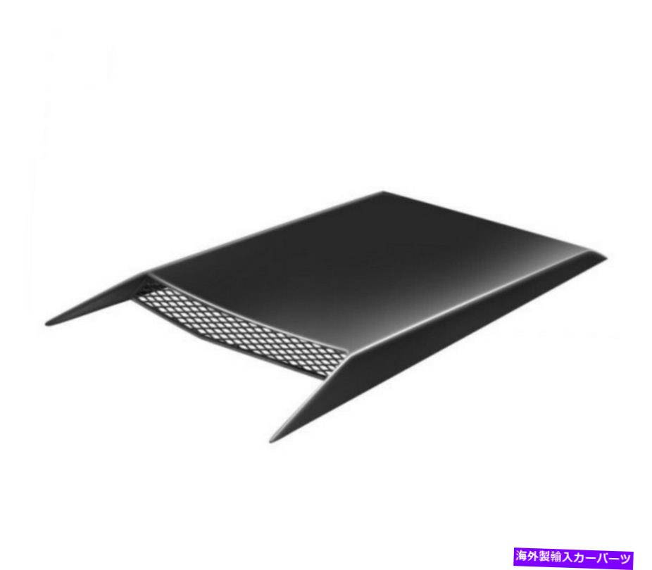 フードベントトリム ウィルパックフードスクープ（RAM 1500） Willpac Hood Scoop (Ram 1500)【並行輸入品】