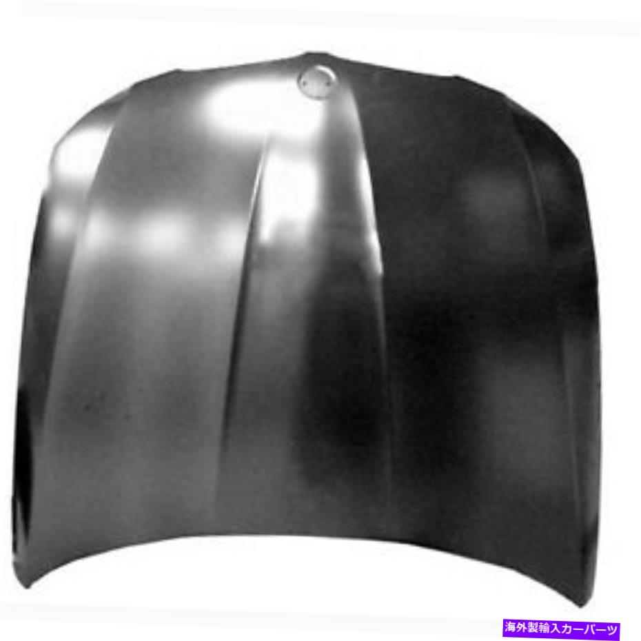 hood panel New Hood Panel Direct Replacement Fits 2009-2011 BMW 3シリーズセダン New Hood Panel Direct Replacement Fits 2009-2011 BMW 3 Series Sedan【並行輸入品】