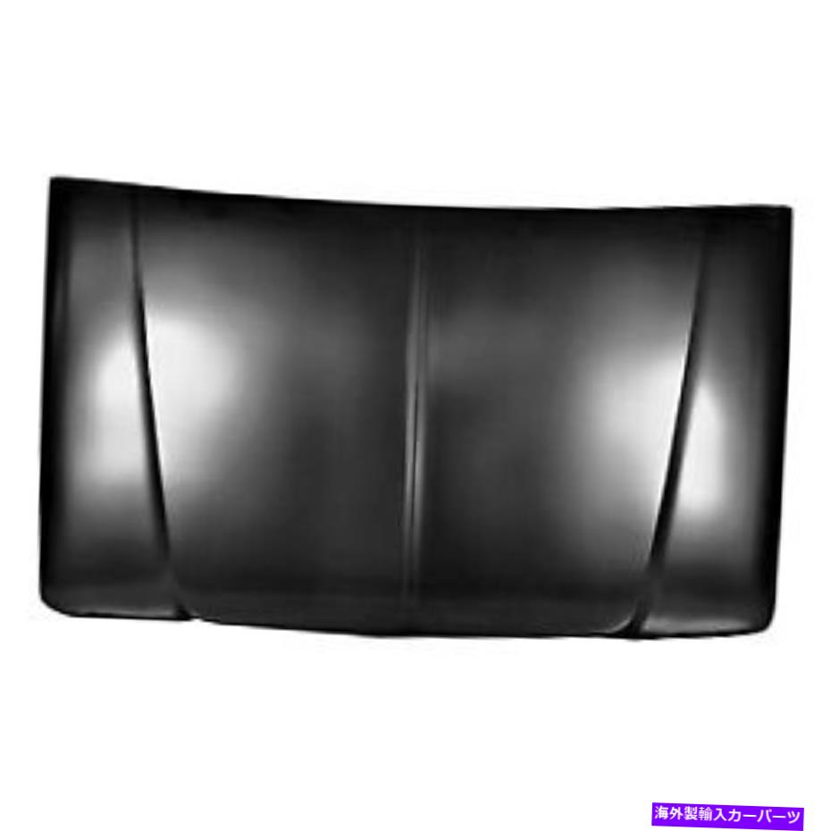 hood panel Ford F-150 1975-1979 Dynacorn Hoodパネル For Ford F-150 1975-1979 Dynacorn Hood Panel【並行輸入品】
