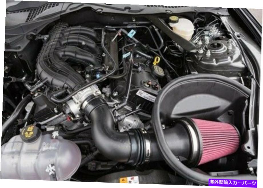 USエアインテーク インナーダクト Roush Cold Air Intake Kit for 15-17 Ford Mustang 3.7L V6 421828 ROUSH Cold Air Intake Kit for 15-17 Ford Mustang 3.7L V6 421828【並行輸入品】