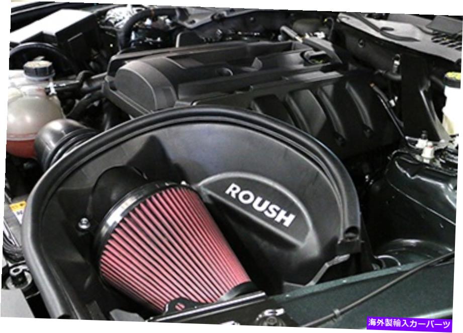 USエアインテーク インナーダクト 421827 Roush Performance Products 421827 Cold Air Intake Kit、1パック 421827 Roush Performance Products 421827 Cold Air Intake Kit, 1 Pack【並行輸入品】