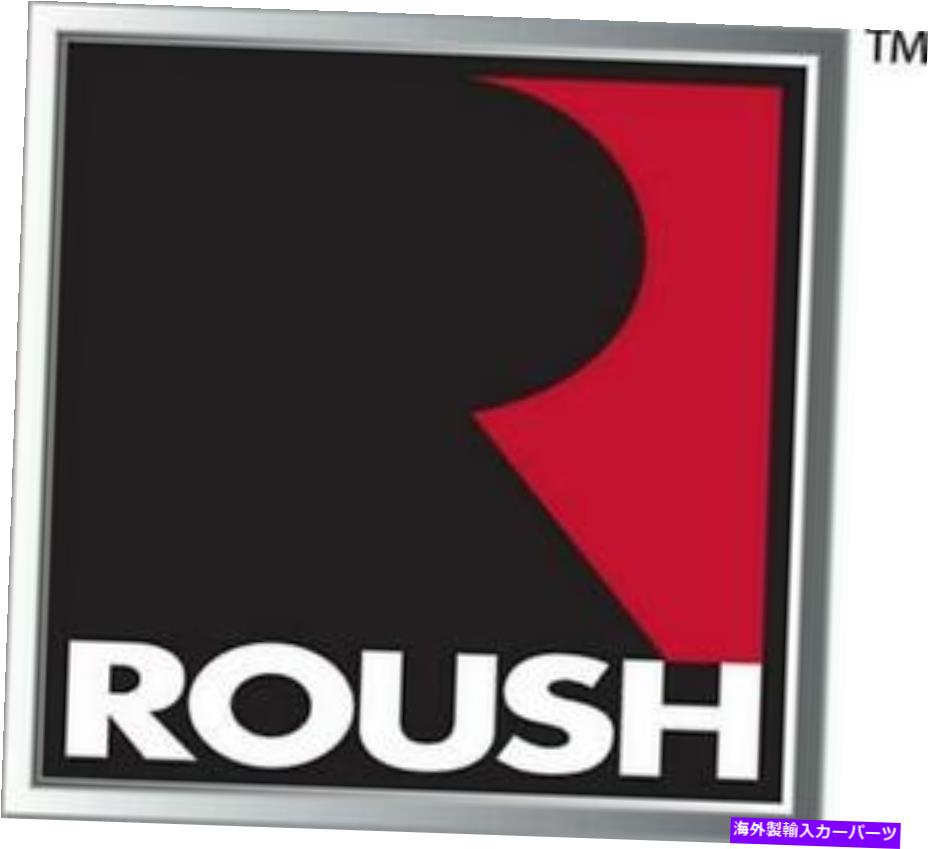 USエアインテーク インナーダクト Roush Performance 422267 Roush 2018-2021 F-150 5.0L V8 Cold Air Intake Kit Roush Performance 422267 ROUSH 2018-2021 F-150 5.0L V8 Cold Air Intake Kit【並行輸入品】