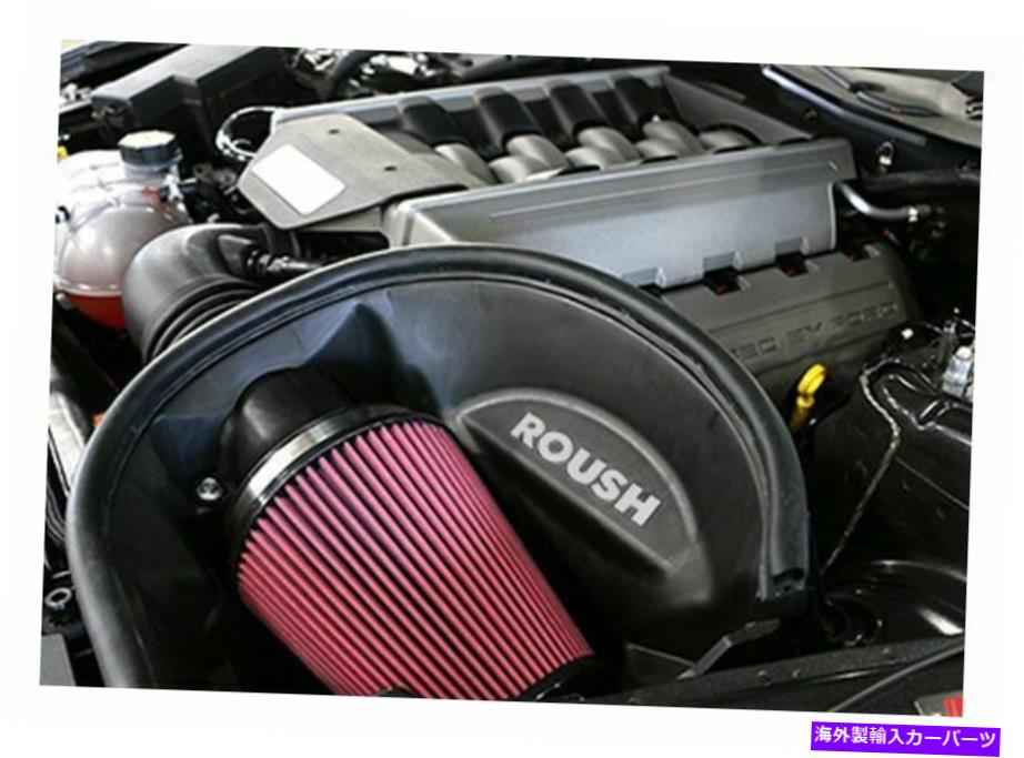 USエアインテーク インナーダクト Roush Performance Cold Air Intake Kit、15-17 Mustang GT 5.0L; 421826 Roush Performance Cold Air Intake Kit, 15-17 Mustang GT 5.0L; 421826【並行輸入品】