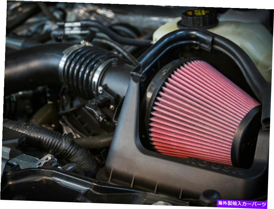 USエアインテーク インナーダクト Roush Performance 421238エンジンコールドエアインテークパフォーマンスキット11-14 F-150 Roush Performance 421238 Engine Cold Air Intake Performance Kit For 11-14 F-150【並行輸入品】