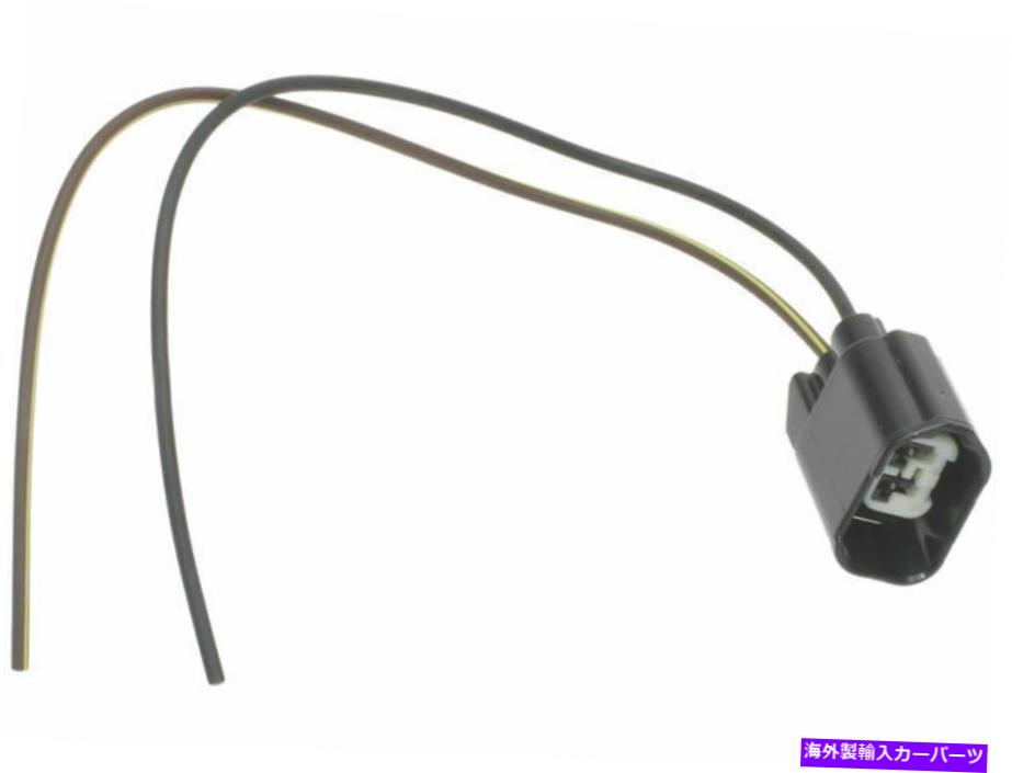 サイドマーカー 2010-2012 Ford Taurus Side Marker Lamp Socket Connector SMP 49555GR 2011 For 2010-2012 Ford Taurus Side Marker Lamp Socket Connector SMP 49555GR 2011【並行輸入品】 30,745円