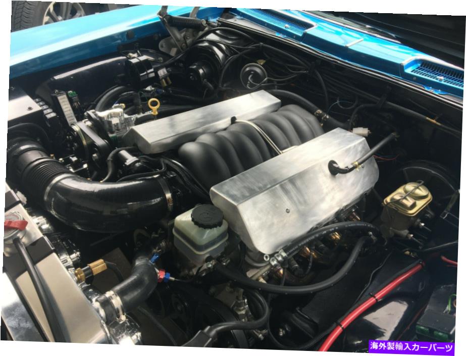 エンジンカバー LS2 LS3カスタムメイドエンジンコイルパックと燃料レールカバー LS2 LS3 Custom-made Engine Coil Pack and Fuel Rail Covers【並行輸入品】