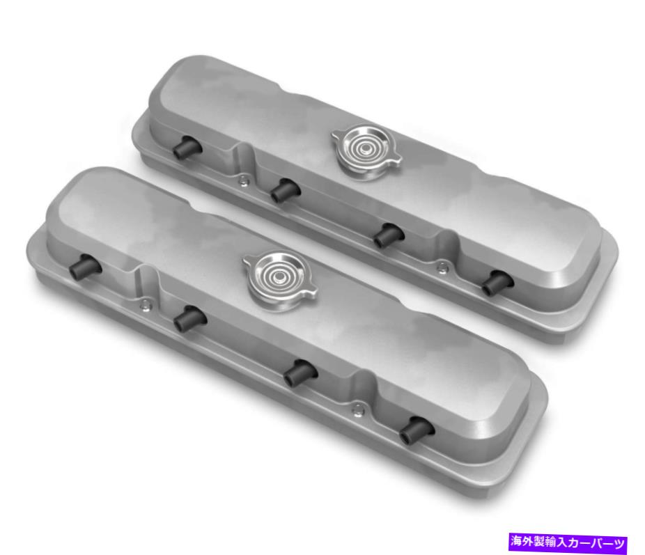 エンジンカバー 2 -PC LSポンティアックスタイルのバルブカバー - 自然仕上げ-241-190 2-Pc LS Pontiac Style Valve Covers - Natural Finish - 241-190【並行輸入品】