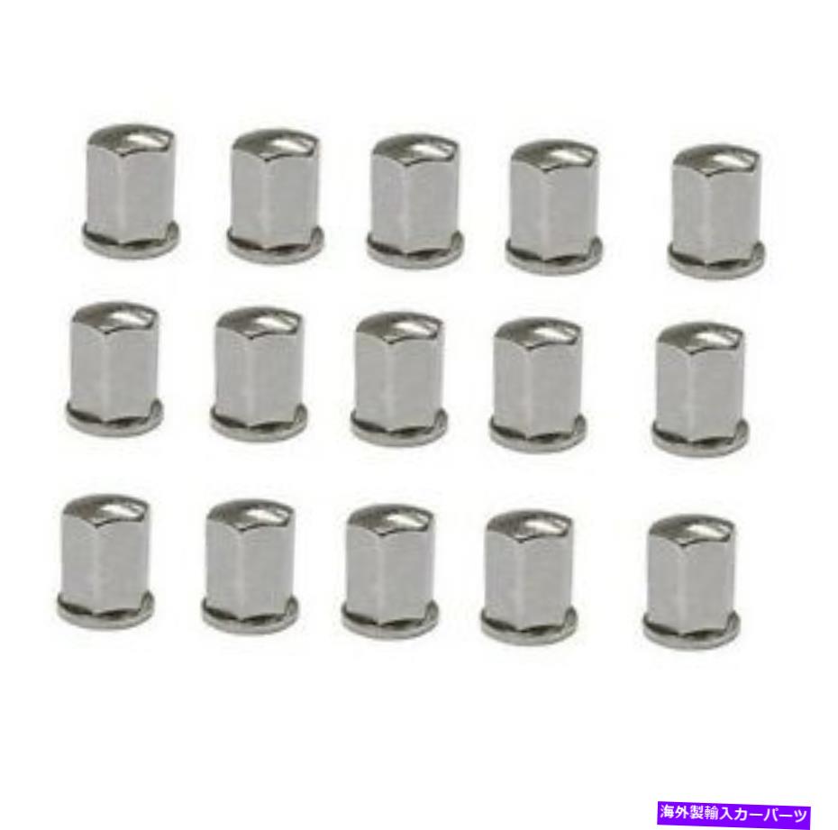 クロームカバー BMW E39 Z8 M5の15キャップナットクロムバルブカバーと吸気カバーのセット本物 For BMW E39 Z8 M5 Set Of 15 Cap Nut Chrome Valve Cover & Intake Cover Genuine【並行輸入品】