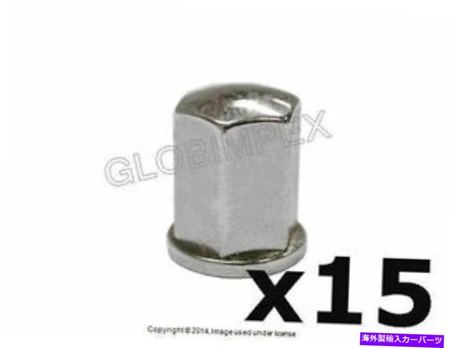 クロームカバー BMW E39 M3 M5 Z3 Z4 Z8（00-03）キャップナットクロムバルブカバーと吸気カバー本物 BMW E39 M3 M5 Z3 Z4 Z8 (00-03) Cap Nut Chrome Valve Cover & Intake Cover GENUINE【並行輸入品】 59,730円