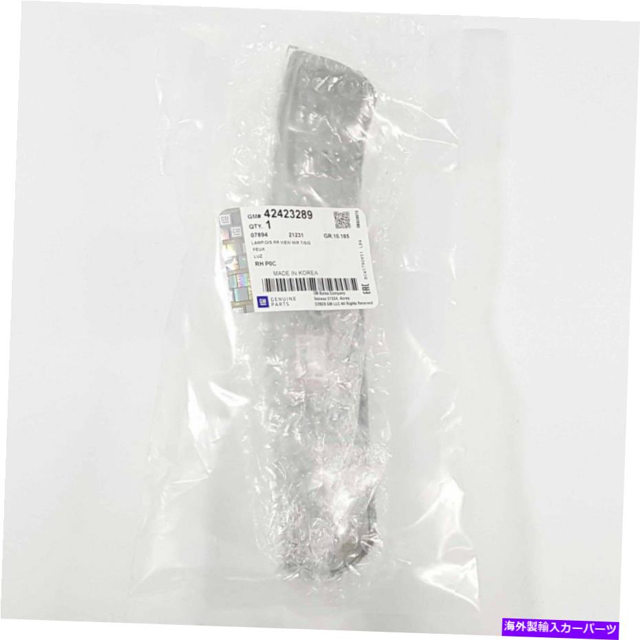 USミラー 本物の42423289フロント右右LEDサイドミラーシグナルランプシボレーキャプチャバ06-14 Genuine 42423289 Front Right LED Side Mirror Signal Lamp For Chevy Captiva 06-14【並行輸入品】
