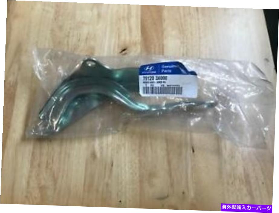 hinge 11-16 Hyundai Elantra OEM Front RH Hinge Assembly 79120 3x000 11-16 Hyundai Elantra OEM Front RH Hinge Assembly 79120 3X000【並行輸入品】