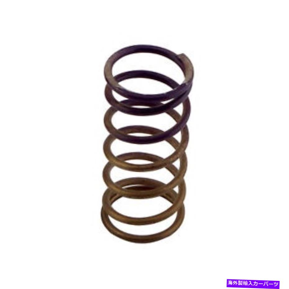 Turbo Charger ターボスマートTS-0550-3090ターボチャージャーウェイストゲートスプリング Turbo Smart TS-0550-3090 Turbocharger Wastegate Spring【並行輸入品】