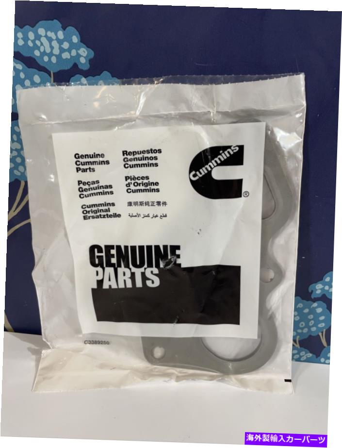 Turbo Charger 本物のOEMカミンズパート3779725ターボチャージャーガスケットカミンズオリジナルパーツ Genuine OEM Cummins Part 3779725 Turbocharger Gasket Cummins Original Parts【並行輸入品】