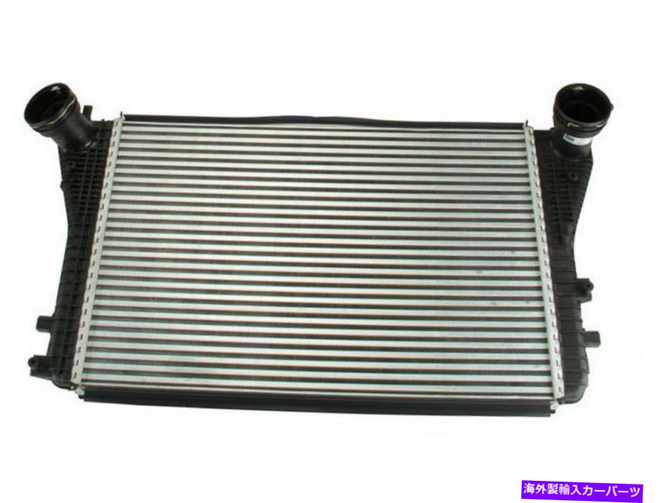 Turbo Charger 2006年から2008年のフォルクスワーゲンパサートインタークーラーフロント49532SH 2007 For 2006-2008 Volkswagen Passat Intercooler Front 49532SH 2007【並行輸入品】