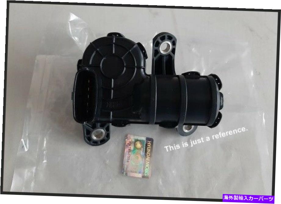 Intake Manifold 283232E010 OEM本物の吸気vumモーターAss'yフィットキアソウル（2012?2013） 283232E010 OEM Genuine Intake Vum Motor Ass'y Fits Kia Soul (2012~2013)【並行輸入品】