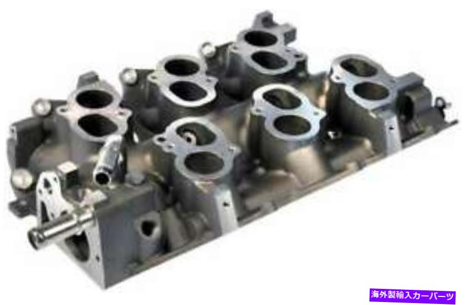 Intake Manifold 2004年のフォードF-150ヘリテージ低いエンジン吸気マニホールド Engine Intake Manifold for 2004 Ford F-150 Heritage Lower【並行輸入品】