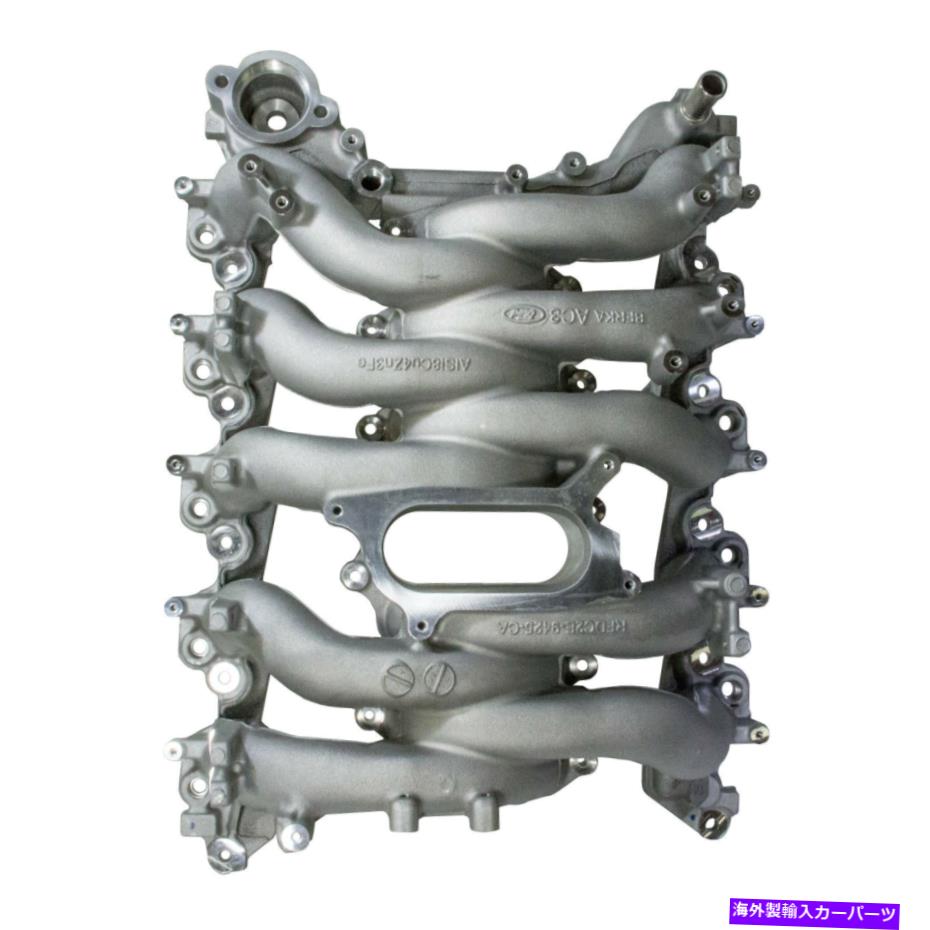 Intake Manifold OEM New 2013-2019 Ford Econoline 6.8L V10エンジン吸気マニホールドDC2Z9424A OEM NEW 2013-2019 Ford Econoline 6.8L V10 Engine Intake Manifold DC2Z9424A【並行輸入品】