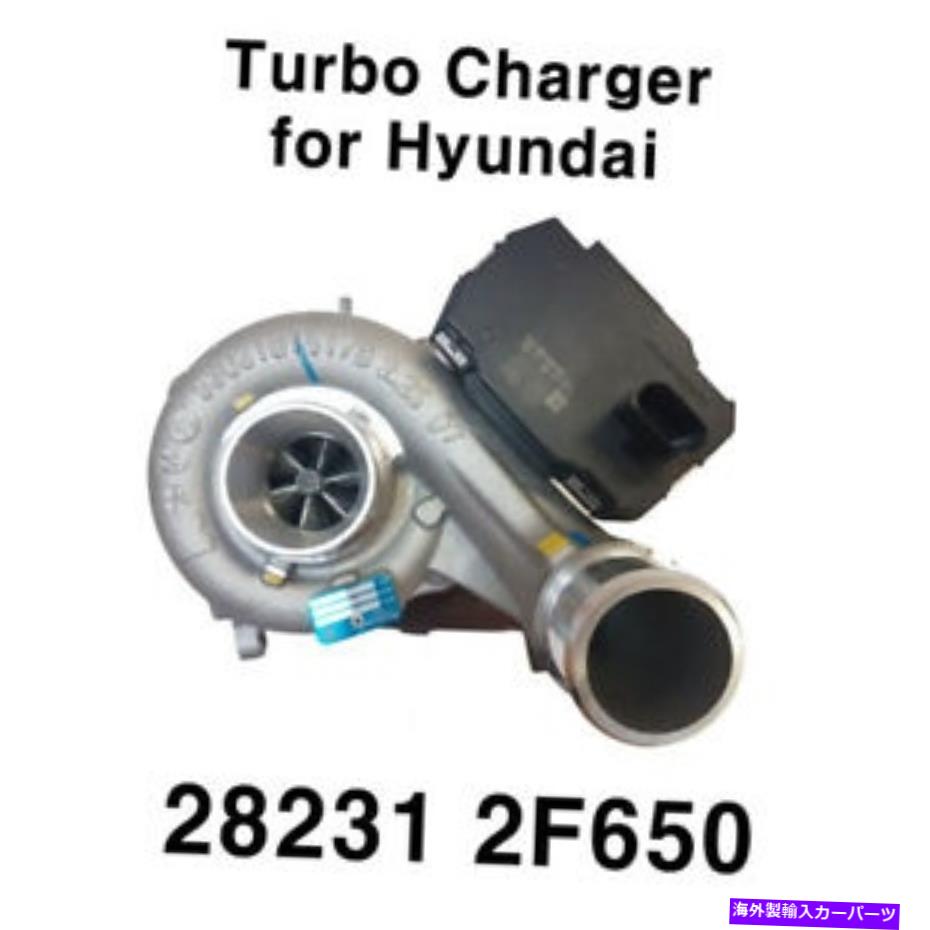 Turbo Charger OEM 282312F650ヒュンダイサンタフの壮大なマックスクルスソレントのための本物のターボチャージャー OEM 282312F650 Genuine Turbocharger for Hyundai SantaFe Grandeur Maxcruz Sorento【並行輸入品】