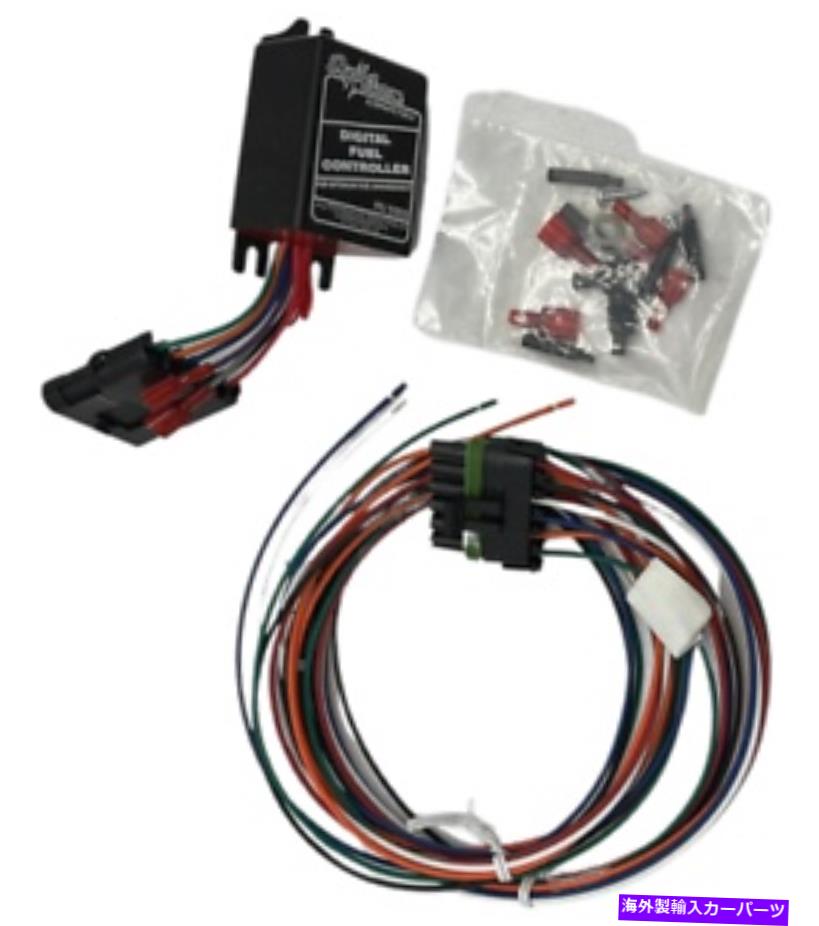 Carburetor デュアルカーブ5952 MSDデジタル代替燃料コントローラープロパン天然ガスCNG Dual Curve 5952 MSD Digital Alternative Fuel Controller Propane Natural Gas CNG【並行輸入品】