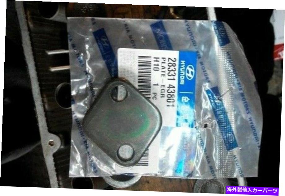 exhaust manifold 本物の真新しいヒュンダイ・テラカン2001-2006プレートエグレン GENUINE BRAND NEW HYUNDAI TERRACAN 2001-2006 PLATE-EGR【並行輸入品】