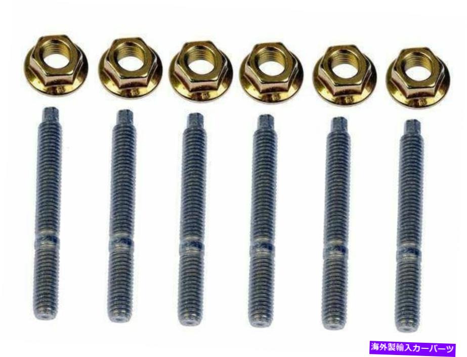 exhaust manifold 2010-2017 Ford F250 Super Duty Exhation Manifold Hardware Kit Dorman 32427kk For 2010-2017 Ford F250 Super Duty Exhaust Manifold Hardware Kit Dorman 32427KK【並行輸入品】