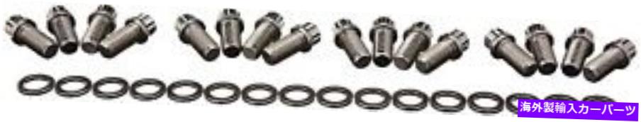 exhaust manifold ARP 4001202ステンレス300 12ポイントヘッダーボルトキット ARP 4001202 Stainless 300 12-Point Header Bolt Kit【並行輸入品】