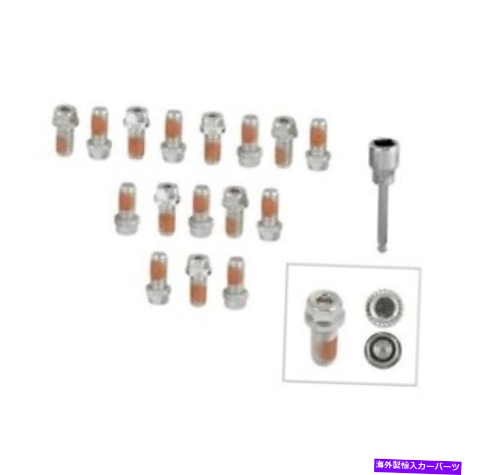 exhaust manifold Mr. Gasket2231gヘッドロックロックヘッダーボルトセット16ヘッドロック Mr. Gasket 2231G Headlock Locking Header Bolts Set Of 16 Headlock【並行輸入品】