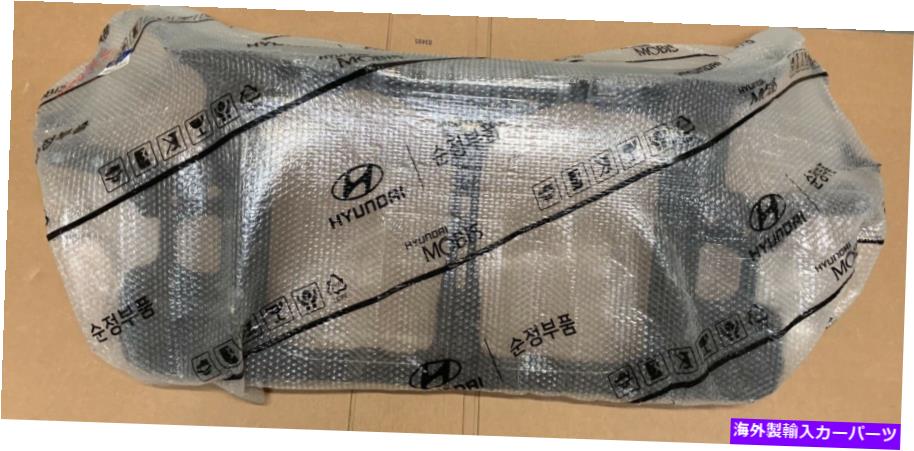 Radiator ラジエーターコアサポートパネルキャリアエクウス2011-2016真新しいオリジナルヒュンダイ Radiator Core Support Panel Carrier Equus 2011-2016 Brand New Original Hyundai【並行輸入品】