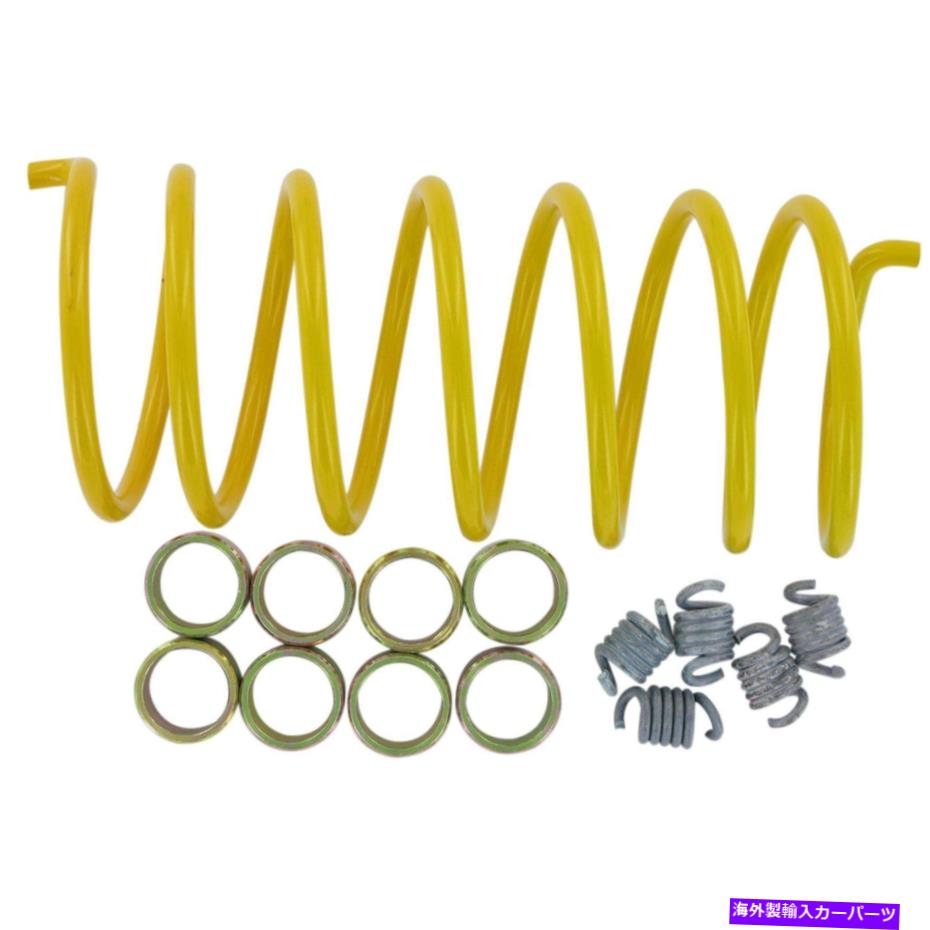 clutch kit Epi Clutch Kit Arctic WE490652 EPI CLUTCH KIT ARCTIC WE490652【並行輸入品】