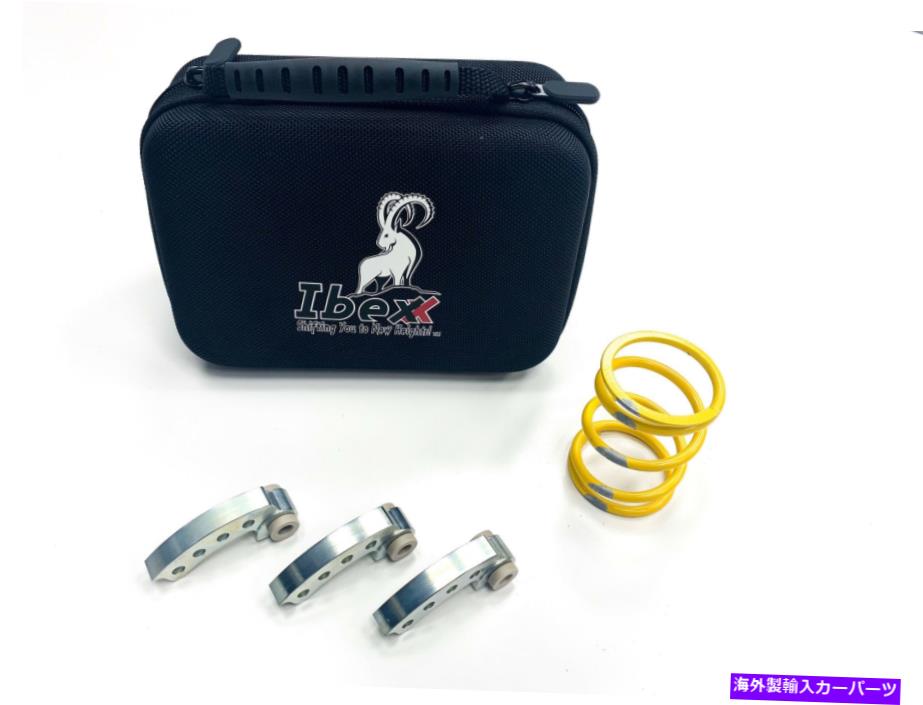 clutch kit IBEXXステージ1クラッチキット12731-00 IBEXX Stage 1 Clutch Kit 12731-00【並行輸入品】