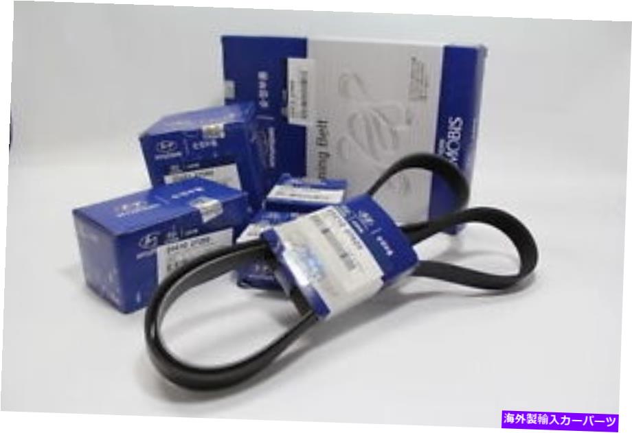 Water Pump 本物のウォーターポンプ+タイミングベルトテンショナーのアイドルキットSantafe CM 2005?12 GENUINE Water pump+Timing belt Tensioner idle kit FOR SANTAFE CM 2005~12【並行輸入品】