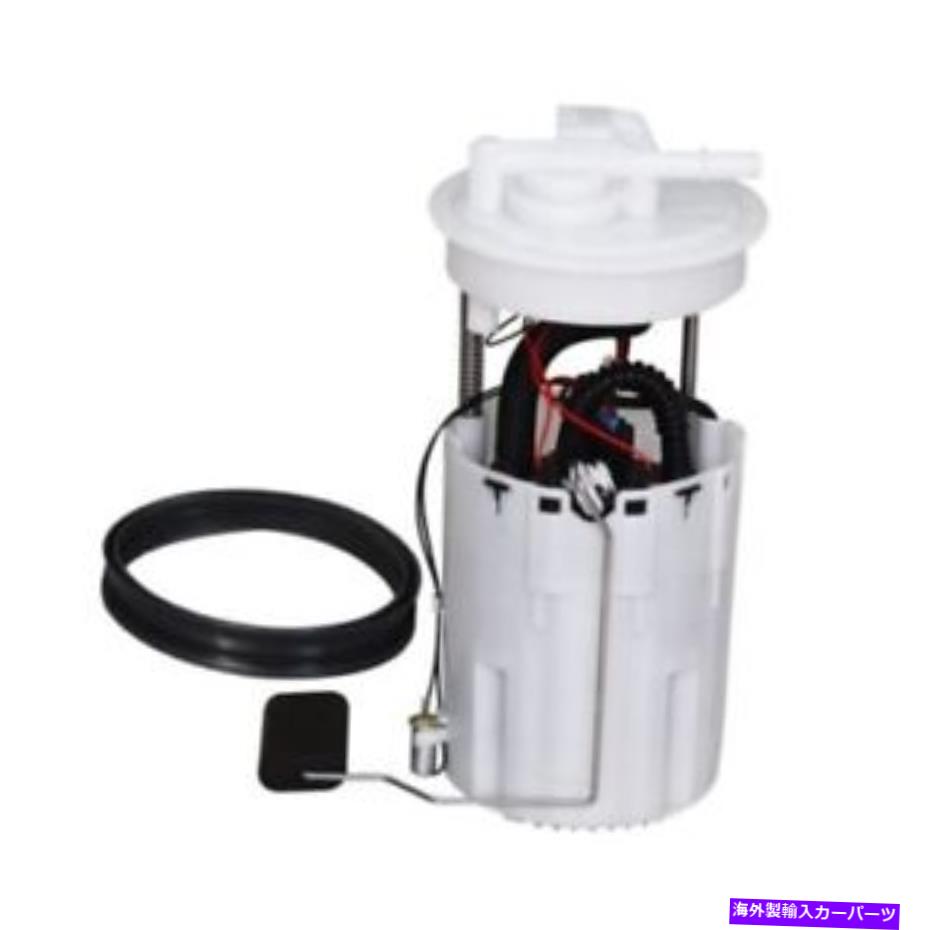 Fuel Pump Module Assembly Delphi燃料ポンプモジュールアセンブリM2425954 Delphi Fuel Pump Module Assembly M2425954【並行輸入品】